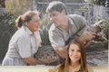 bindi irwin jpeg