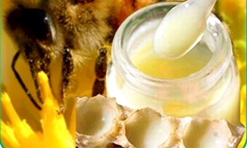 1 72010 original jpg jpeg