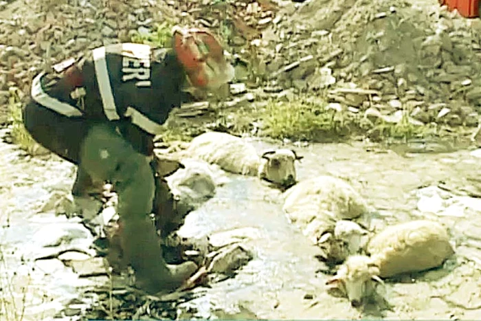 
    Operaţiunea  de salvare a  durat mai  bine de 3 ore   