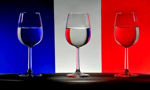 Vive la France, carte despre București, Ierburi de leac jpeg