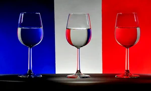 Vive la France, carte despre București, Ierburi de leac jpeg