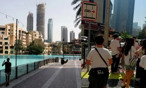 elevi dubai jpg