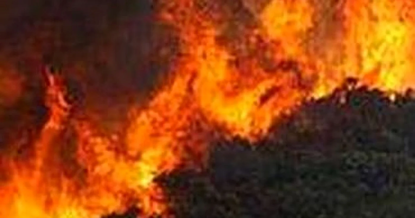 Incendiul din California, de origine criminală