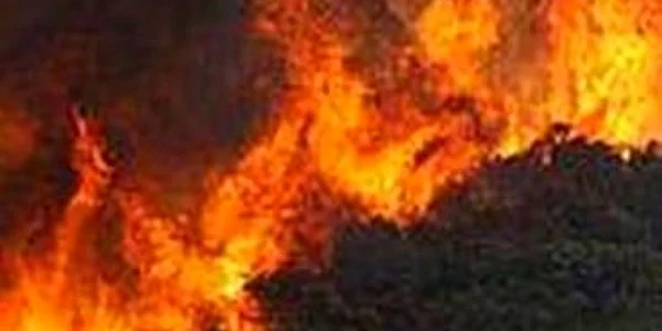 Mai multe clădiri din nord-vest-ul Los Angeles-ului, evacuate din cauza unui incendiu