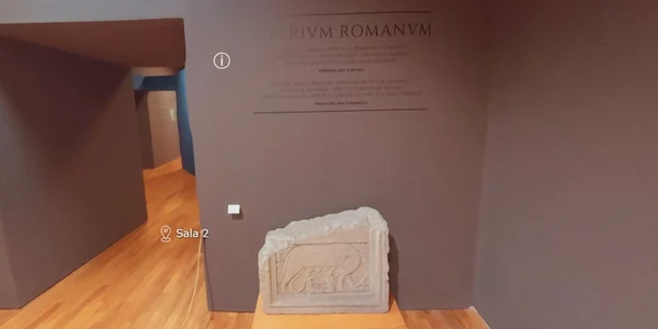 muzeul national de istorie a transilvaniei