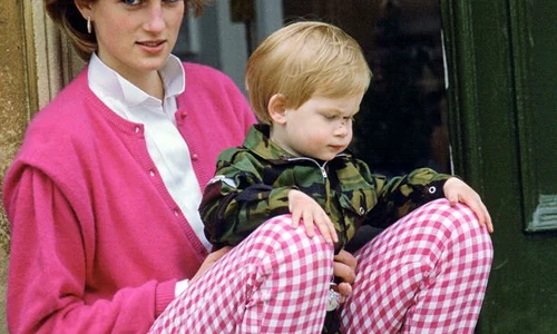 5 diana princess of wales with prince harry jpg jpeg