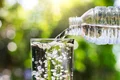 apa_carbogazoasa_shutterstock 1027452469 jpg