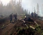 Incendiu de padure in judetul Suceava. FOTO