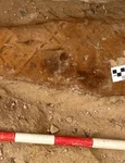 A Roman era mummy from Oxyrhynchus jpg