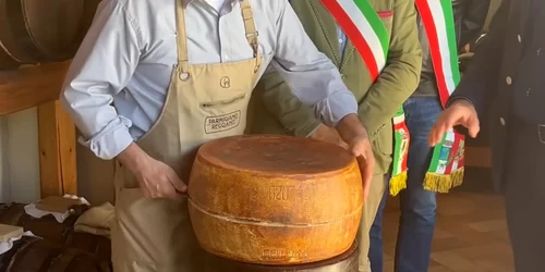 Cel mai vechi parmezan din lume Foto YouTube Food Affairs jpg