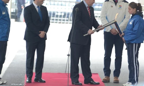 fote 2013 guvern torta2 site  jpeg