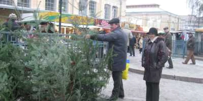Primii clienţi s-au mulţumit doar să privească brazii