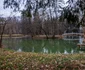 Săvârșin