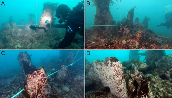 Foto: © Société d'Archéologie et de Mémoire Maritime (SAMM), 2023 / HAL Science)