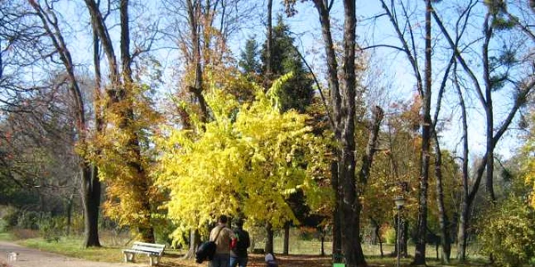 Bucureşti: Grădina Botanică