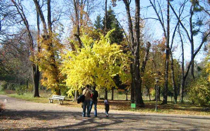 Bucureşti: Grădina Botanică