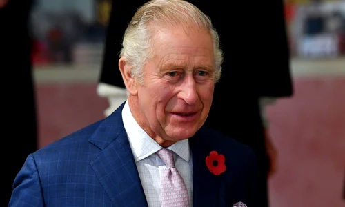 Regele Charles FOTO Profimedia jpg