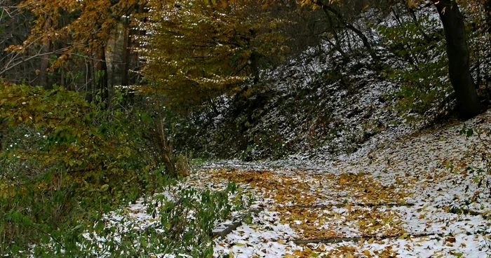 Meteorologii spun că la munte ar putea cădea lapoviţă şi ninsoare FOTO: Mediafax