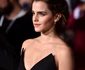 Beauty And The Beast Premiere LA jpeg