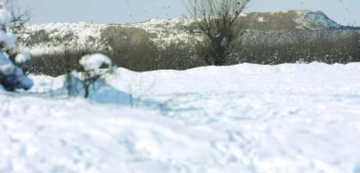 Terenul de lângă Parcul Tineretului e situat chiar lângă groapa de gunoi