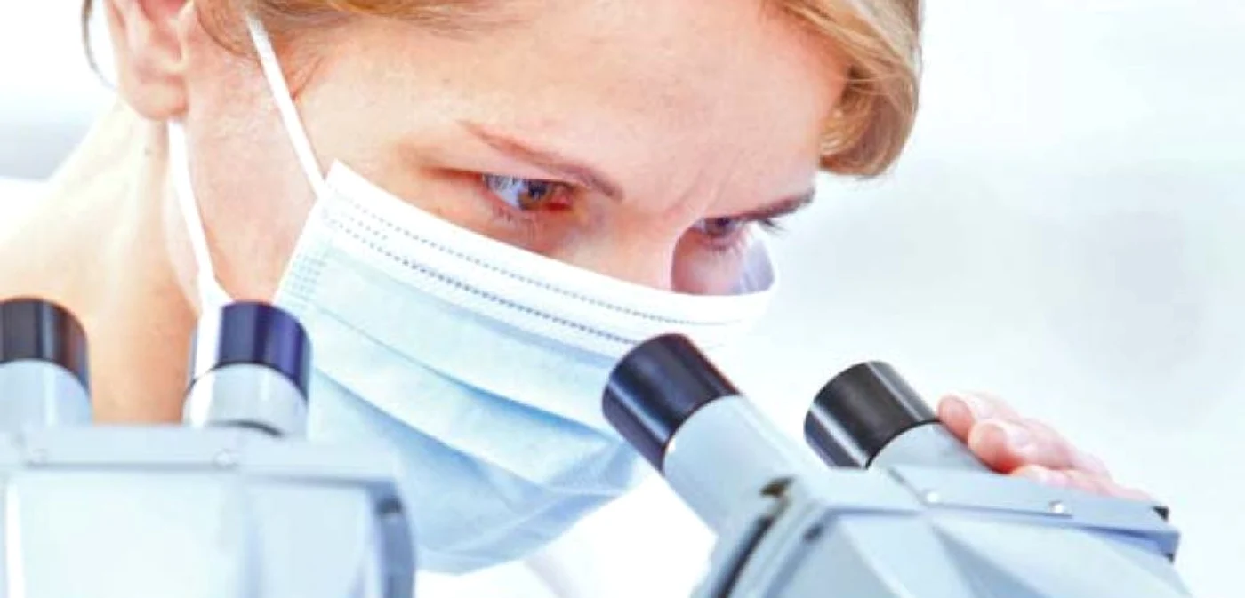 Medici puţini în laboratoarele unde s eprocesează probele privind pesta porcină FOTO Shutterstock