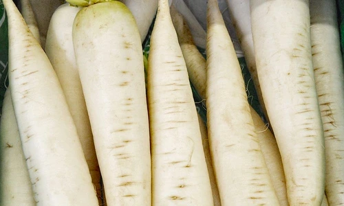 ridiche albă beneficii jpeg