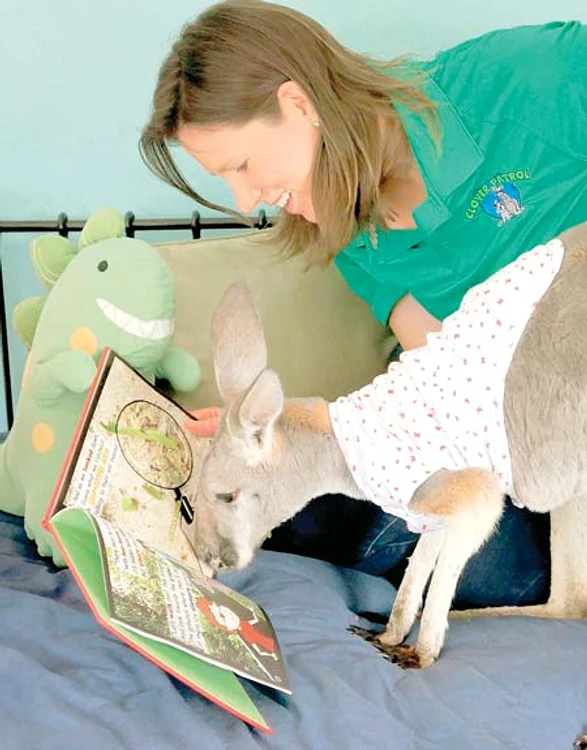 “A fost odată un prinţ...” (Fotografii: Photoland/Caters)