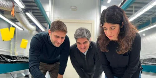 regolit luna  santannapisa it jpg