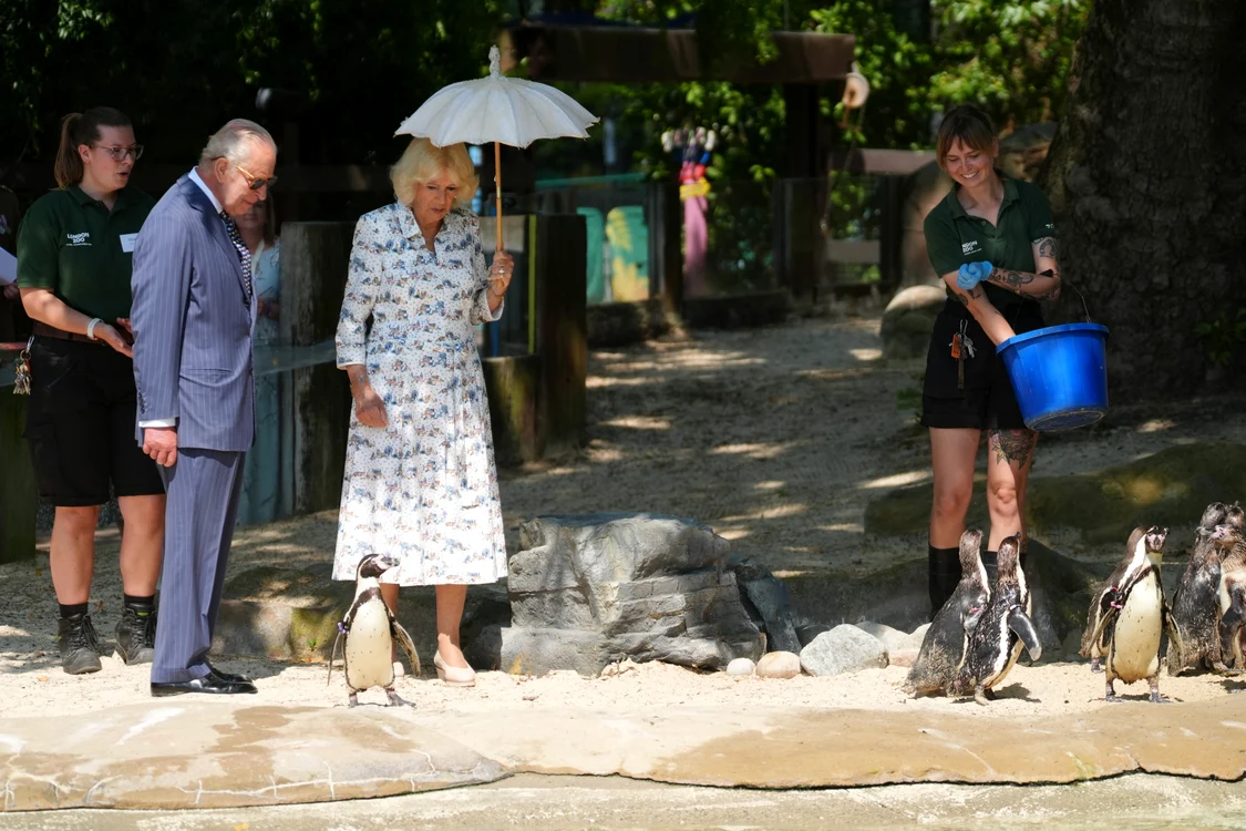 Charles și Camilla la ZOO, Profimedia (1) jpg