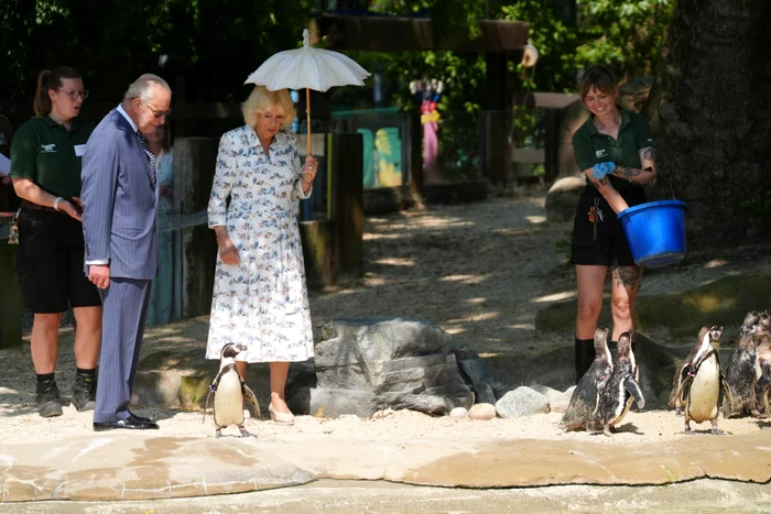 Charles și Camilla la ZOO, Profimedia (1) jpg