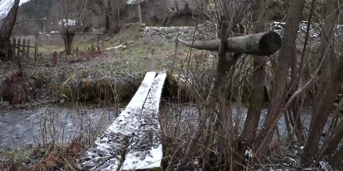 61c08f835163ec4271ca3a8e jpg