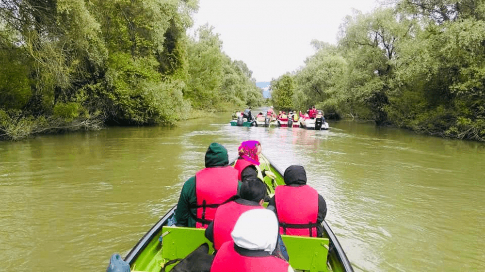Majorarea tarifelor de acces în Delta Dunării, criticată de unii operatori economici. „Sperie turiștii”