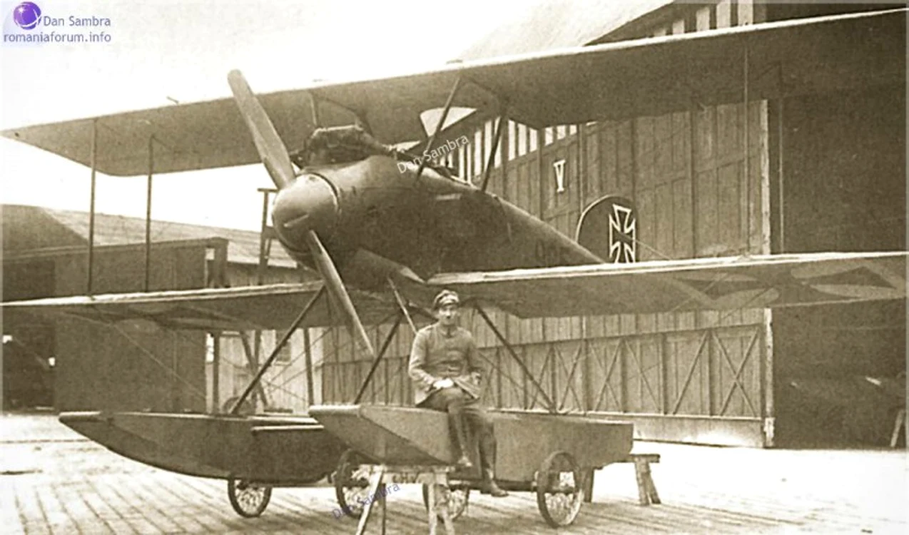 1916 965 Albatros W4 jpg jpeg