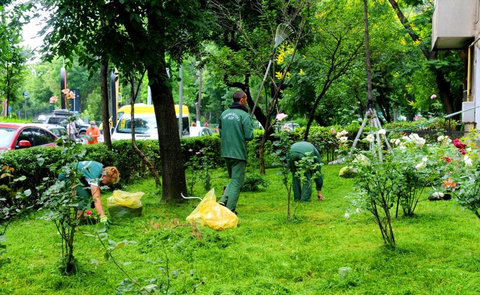 Afacerea de 5,4 milioane de euro pentru spații verzi într-un oraș din Ardeal. Șapte firme și-au disputat contractul