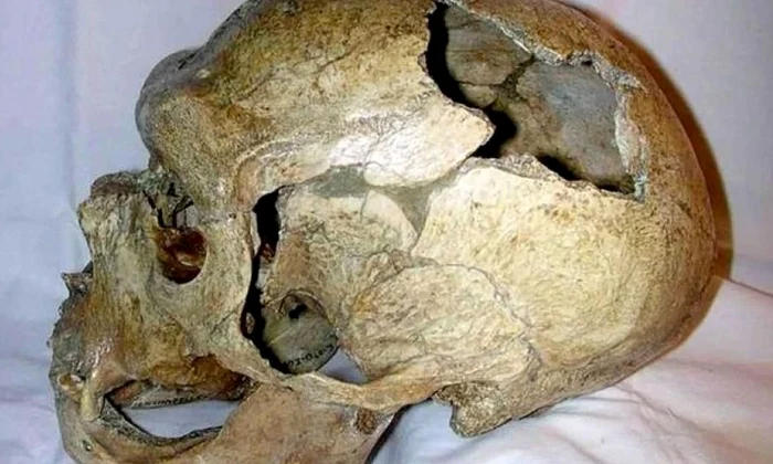 Cum am reuşit să i „înfrângem” pe neanderthalieni? jpeg
