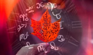 shutterstock 1552478687 jpeg