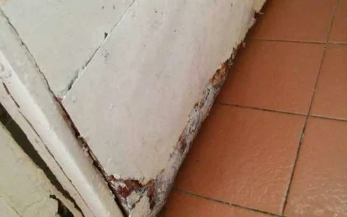 Spitalul Clinic Judeţean de Urgenţă Constanţa - imagine a mizeriei Foto Lucian C.