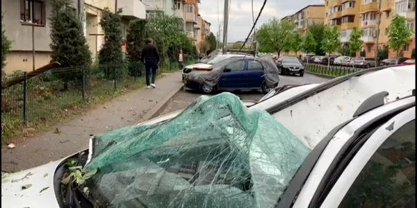 vijelie Craiova