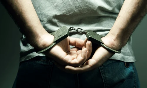 Catuse incatusat arestat FOTO Shutterstock