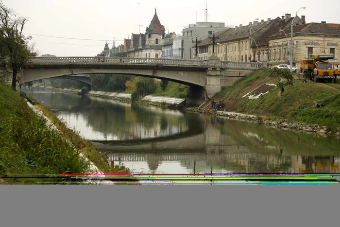 Podurile din Timişoara