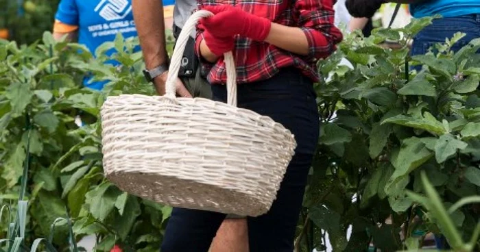 Melania in gradina FOTO AFP