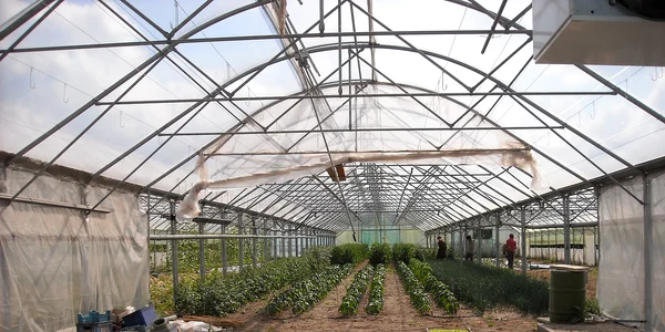 agricultura sera   foto pixabay jpg