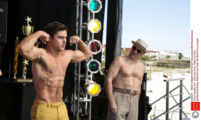'Dirty Grandpa' film 2016 jpeg