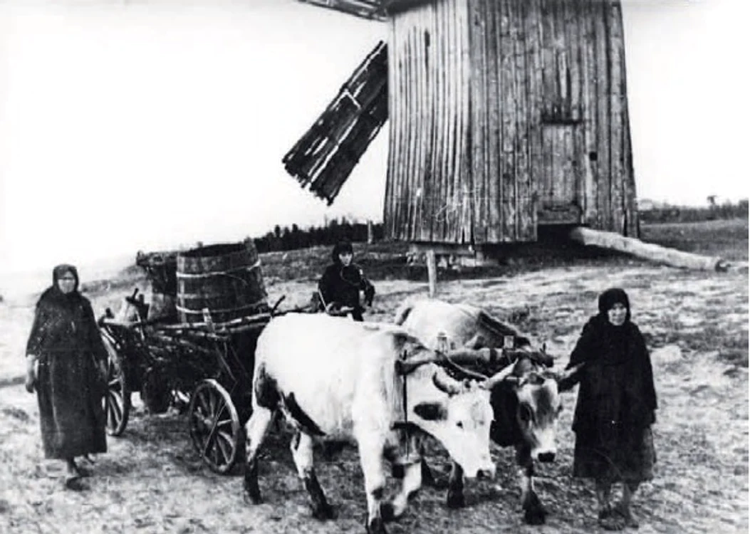 Femei din satul basarabean Cornova, în anul 1931 – fotografie realizată în timpul campaniei de cercetare desfăşurată în localitate de către reprezentanţii Şcolii Sociologice de la Bucureşti