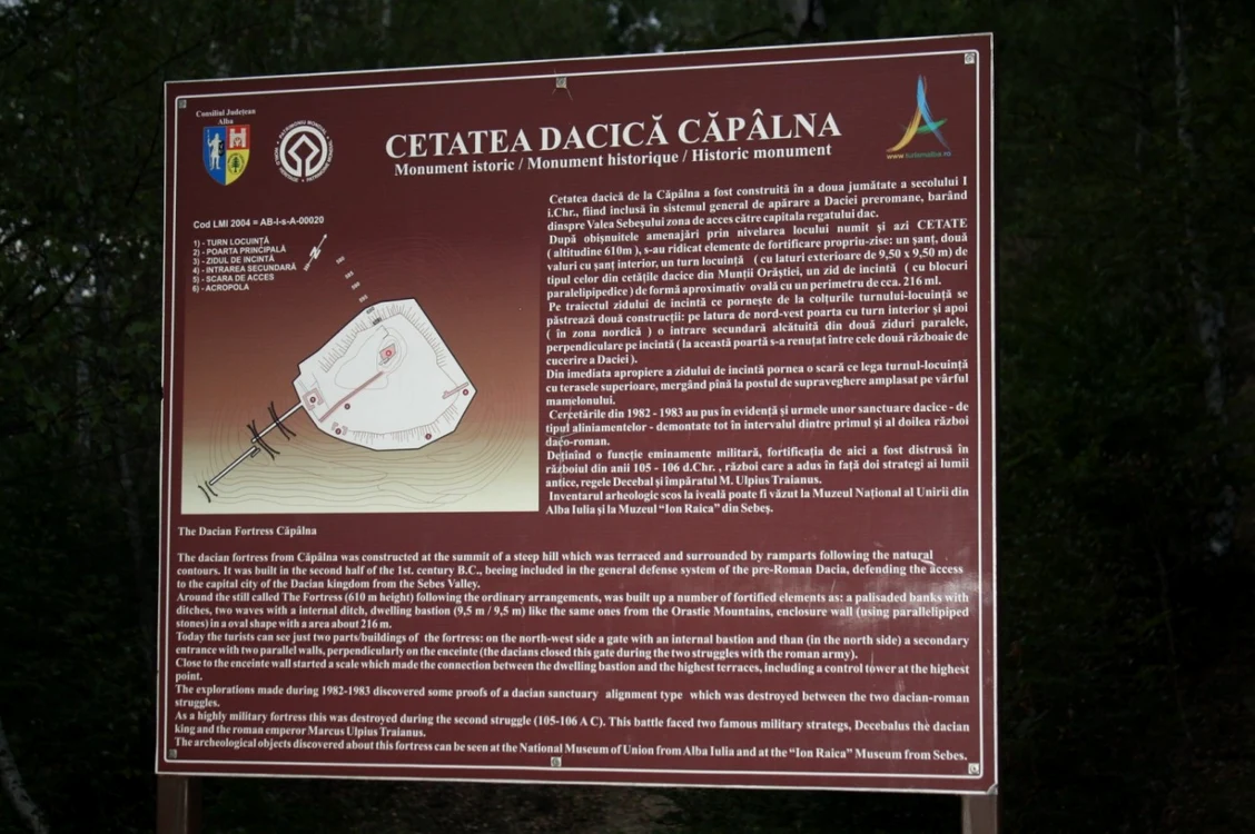 cetate braconieri
