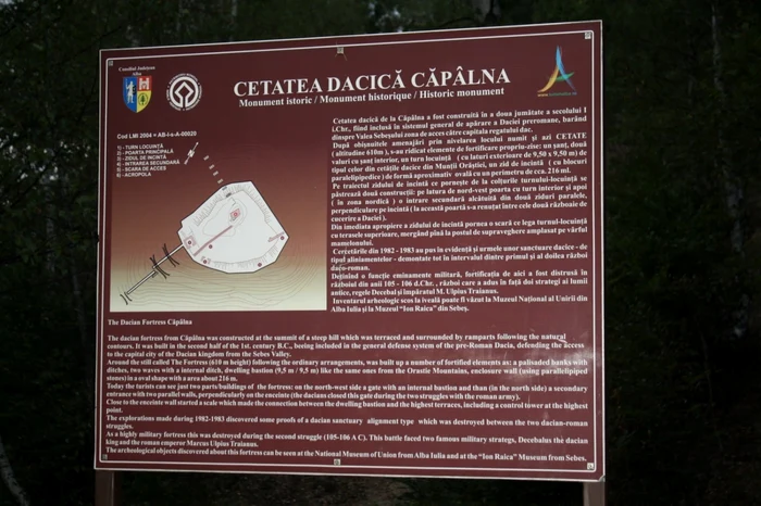 cetate braconieri