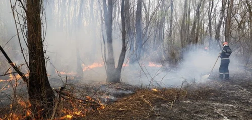 incendiu Lunca Prutului Galati 5