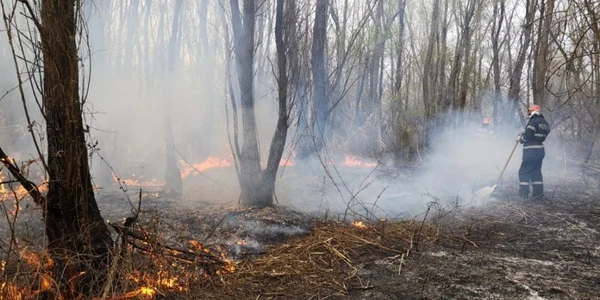 incendiu Lunca Prutului Galati 5