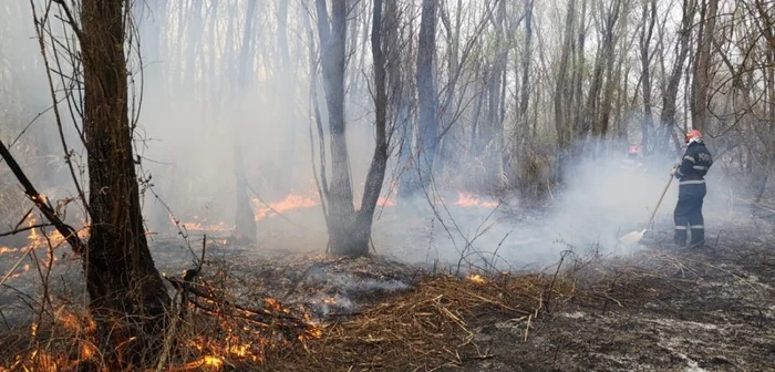 Incendiul a afectat zeci de hectare de vegetaţie uscată şi stuf din Lunca Prutului Foto: ISU Galaţi