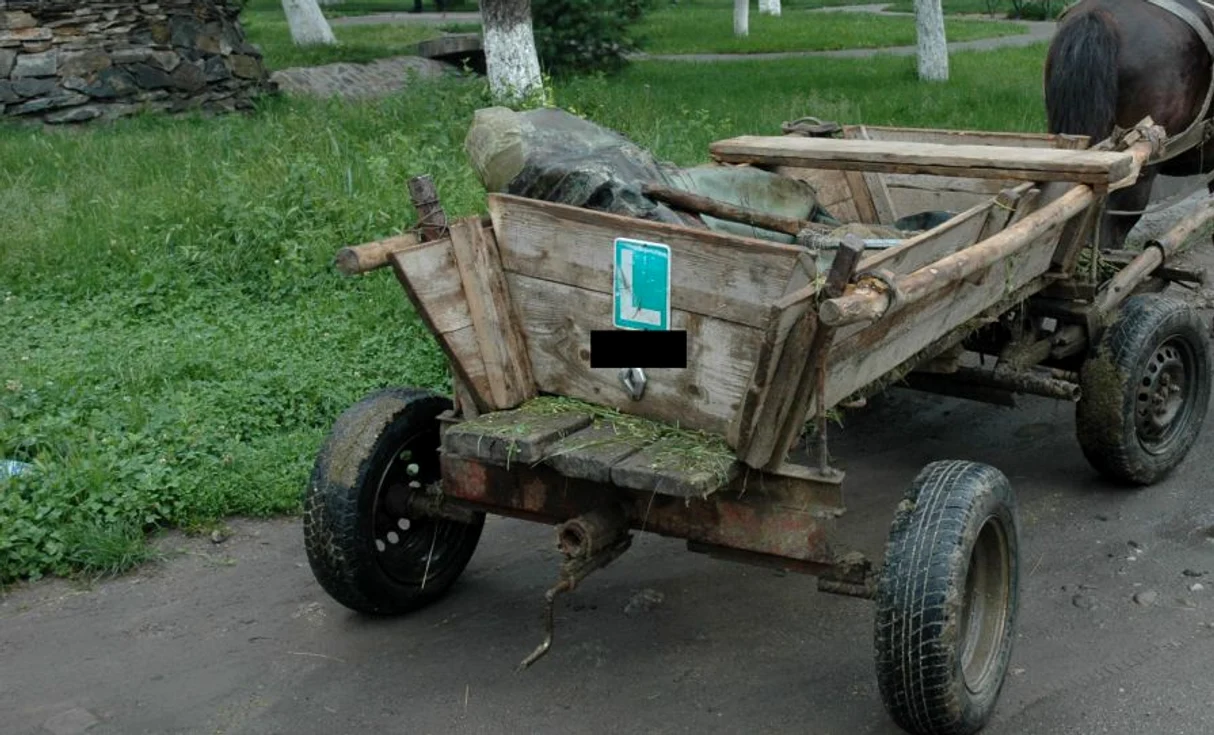 Transportul copiilor cu căruța presupune riscuri uriașe. FOTO Poliția Română